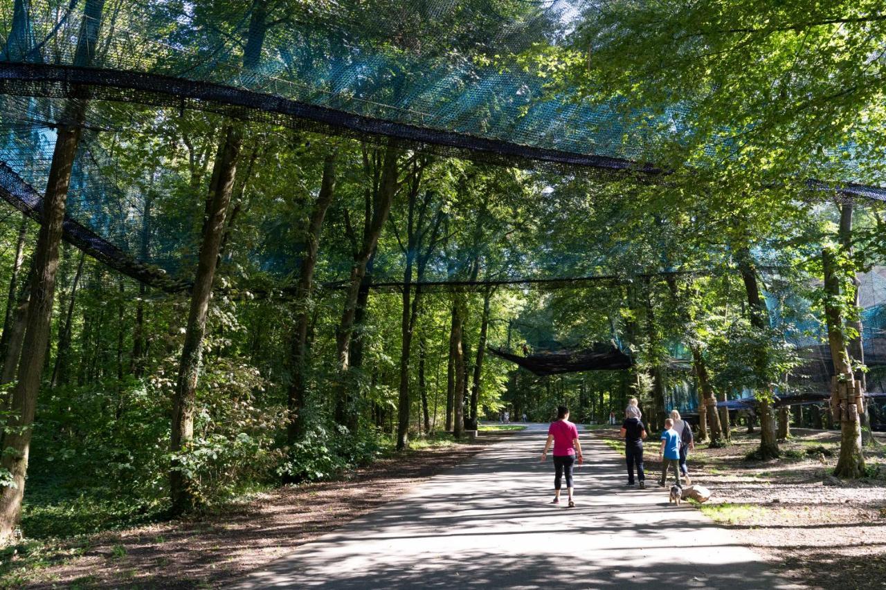 La Residence Du Parc D'Olhain Maisnil-les-Ruitz エクステリア 写真